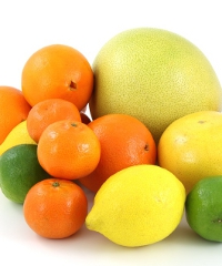 Giardini d'Agrumi 2026, limonaie e agrumi dell'Alto Garda