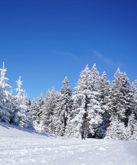 Uovo d’Oro a Sestriere 2026