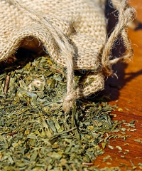 SalusErbe: natura, erboristeria e gastronomia