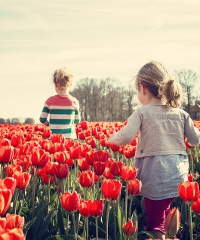 Pasqua e Pasquetta al Castello, caccia all'uovo di drago