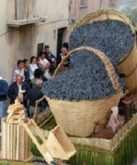 Festa dell'Uva Solopaca