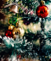 Tradizionale accensione dell'albero di Natale ad Asiago