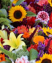 I Fiori di Castellaro 2026, mostra mercato floreale