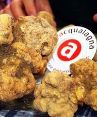 Fiera Nazionale del Tartufo Bianco di Acqualagna