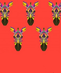 Torna FESCAAAL 2026, il Festival del Cinema Africano, Asia e America Latina