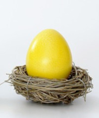 Pasquetta in giallo al Parco La Mandria