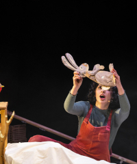 Il bosco delle storie di Natale