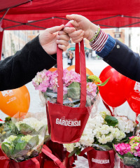 Bentornata Gardensia 2026: un fiore per la ricerca a Fidenza