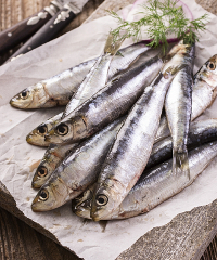 “Azzurro Pesce d’Autore” ad Andora - Via Aurelia, Andora (SV) - Edizione 2025 Torna anche quest'anno, nel lungomare di Andora, “Azzurro Pesce d’Autore”: appuntamento annuale con le eccellenze italiane e del territo...