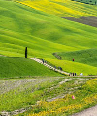 Tuscany crossing 2026