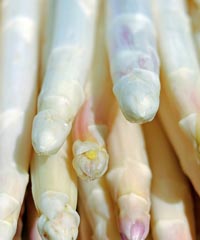 A Tavola con l'Asparago di Badoere