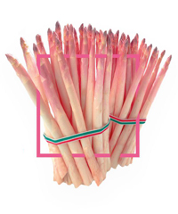 Sagra dell'Asparago Rosa di Mezzago 2026