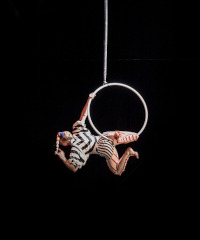 Nice Festival Chieri