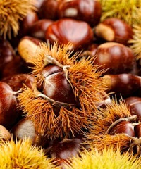 Le giornate delle castagne... caldarroste a volontà!
