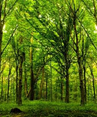 Giovanni Storti e Stefano Mancuso in scena con