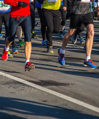 Maratona Reale di Torino 2024