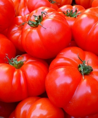 Tomato Festival, la fiera del Pomodoro
