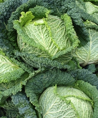 Torna il mercato contadino di via Repubblica 2026