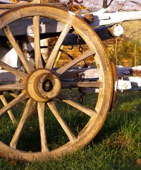 Fiera del Santo Cristo e Mostra delle macchine agricole e delle attrezzature enologiche