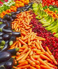 Umbria Terra Viva 2025 - Piazza Piccinino, Perugia (PG) - Mostra mercato mensile dei prodotti biologici Si svolge la prima domenica di ogni mese in Piazza Piccinino la mostra mercato mensile di prodotti biolo...
