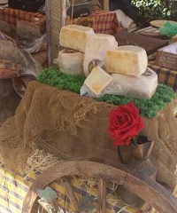 A Spass par Zirvia: gastronomia, arte e intrattenimento - Piazza Carlo Pisacane 5, Cervia (RA) - A Cervia un mercatino da non perdere Ogni ultima domenica del mese, da ottobre ad aprile e con alcune edizioni speciali, l'appuntamento è al mercatino...