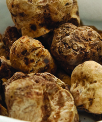 Volterragusto 2026 Storia e Cibo