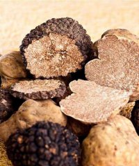 Festa del Tartufo Primaverile 2026