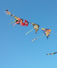 Artevento 2026, Festival internazionale dell'aquilone