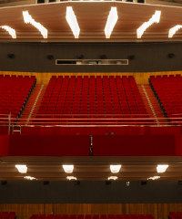 "Shreck Il Musical" arriva a Sanremo - Corso Giacomo Matteotti 107, Sanremo (IM) - Stagione teatrale 2024 - 2025 al Teatro Ariston Torna in scena in grande stile con una produzione tutta pugliese firmata AncheCinema, “Shrek - Il Musi...