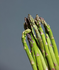 Festa degli Asparagi di Fossalon di Grado - Piazza Rialto 1, Grado (GO) - Edizione 2025 Torna la tradizionale Festa degli Asparagi di Fossalon di Grado. Specialità enogastronomiche, vendita a kilometro 0, spettacoli, show, l...