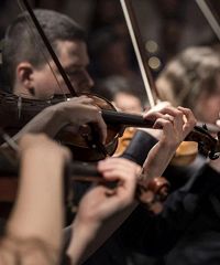 Festival Milano Musica 2025, percorsi di musica d'oggi - Corso Magenta 63, Milano (MI) - 34a edizione dal tema "Francesco Filidei. Fiori, tempo, respiro" La nuova edizione del Festival Milano Musica si concentra sulla personalità artistica...