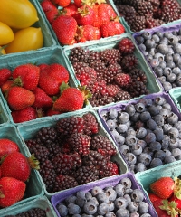 Mercato del contadino con i colori e sapori di Ferrara