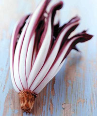 40ma Mostra del Radicchio Rosso a Mogliano Veneto