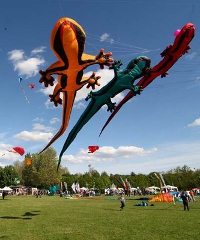 Vulandra 2025, torna il Festival Internazionale degli Aquiloni - Via Riccardo Bacchelli, Ferrara (FE) - 45a edizione Torna una nuova edizione di Vulandra, il Festival Internazionale degli Aquiloni, che anche quest'anno animerà il Parco Urbano G. Bassani...