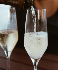 Festa dell'Oca e del Vin Novello a Lavariano 2025