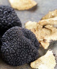 Il Diamante Nero di Scheggino 2026