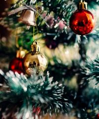 Mercatino di Natale a Gallio - Via Roma 12, Gallio (VI) - Edizione 2024 Dal 7 dicembre il centro di Gallio si colora con il Mercatino di Natale, il più antico dell’Altopiano. Aperitivi in musica e spettacoli...