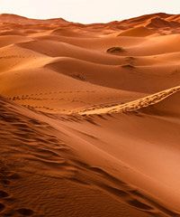 Middle East Now 2026