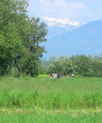Magnalonga, gustovagando tra le antiche fattorie e risorgive - Via San Benedetto, Bressanvido (VI) - Edizione 2025
Scopri i sapori autentici e le tradizioni di Bressanvido con l’appuntamento annuale con la "Magnalonga", una passeggiata eno-g...