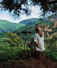 A Cremona una mostra celebra Jane Goodall con un viaggio visivo straordinario