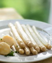 Mostra dell’Asparago di Badoere IGP