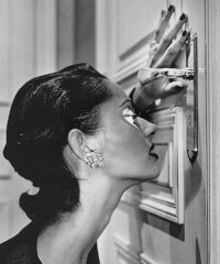 Helmut Newton. Intrecci