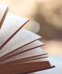 Un prato di libri, festival della lettura per bambini e ragazzi