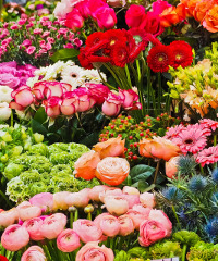 Primavera in fiera a Sedico - Piazza della Vittoria 21, Sedico (BL) - Edizione 2025
E' prevista l'esposizione e la vendita di prodotti tipici e di produzione artigianale, trattori d'epoca, spettacoli, intratten...