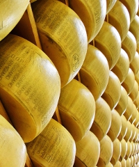 Reggio Emilia Ragazza Di Sassuolo Scomparsa Dopo La Scuola Reggio Nell Emilia