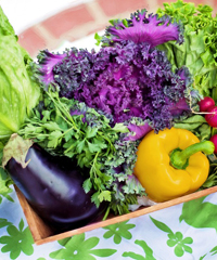 Mercato agroalimentare