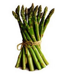 Sagra dell'asparago selvatico