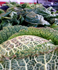 Il Buono in Tavola 2025: le bontà di stagione di Piazza Sant'Eustorgio a Milano