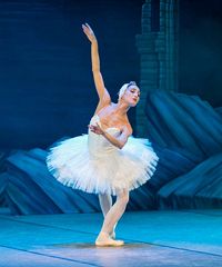 Roma City Ballet Company porta in scena "Il Lago dei cigni"