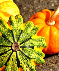 Halloween al Parco Sigurtà